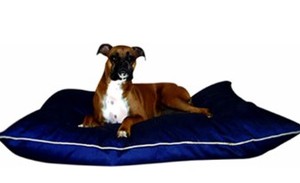 lot 1434 image: Majestic Pet XL Pet Bed Cushion Navy 44x32&nbsp(color varies from stock photo)