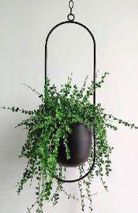 lot 1730 image: Small Hanging Metal Plant Pot Black