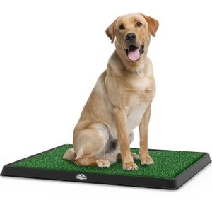 lot 5420 image: 3 Piece Dog Training Kit 24 x 36
