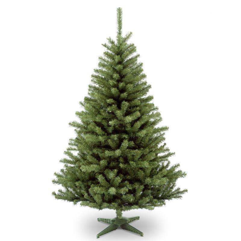 lot 13828 image: National Tree 6 Kincaid Spruce Tree