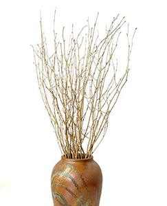 lot 1729 image: DongArts Decorative Birch Branches,Brich Stems for Wedding Decor,Dried Twigs for Christmas Decor (Metallic Gold)