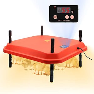 lot 1735 image: GIFANK Chick Brooder Heating Plate 10 x 10, Temperature Adjustable Chicken Brooder, Brooder Heater Plate, Chicks Heating Plate for chicks with Adjustable Height 30W Warms Up to 15 Chicks
