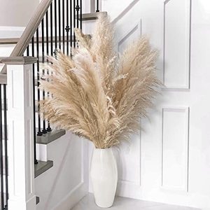 lot 1798 image: 10pcs 40 Tall Natural Dried Pampas Grass - Elegant Fluffy Pampas Grass for Floor Vase - Beige Pampas Grass Decor Tall - Boho Wedding Decor - Boho Home Decor Dried Flowers