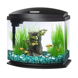 lot 1976 image: Aqueon LED MiniBow Small Aquarium Fish Tank Kit with SmartClean Technology, Black, 5 Gallon