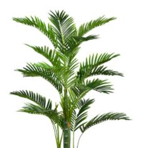 lot 3043 image: 44H Palm Tree w Paper eco Planter