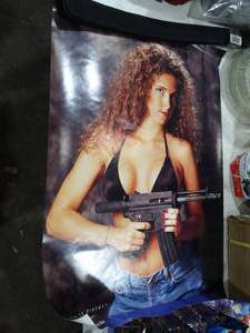 lot 33406 image: Carbon 15 Pistol - Sexy Wall Poster