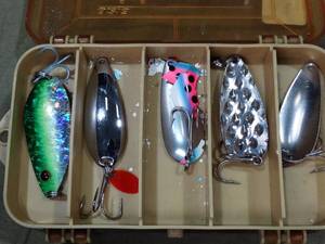 lot 33420 image: Nice Fishing Crank Lures in Organizer