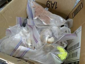 lot 33438 image: Box Full of Seashells in a Variety of Bags