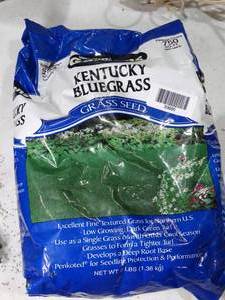 lot 33666 image: Partial Bag of Kentucky Blue Grass Seeds