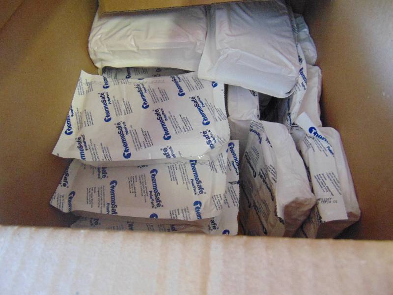 lot 7028 image: 18 ct lot Thermo Safe Polar Pack, one time use