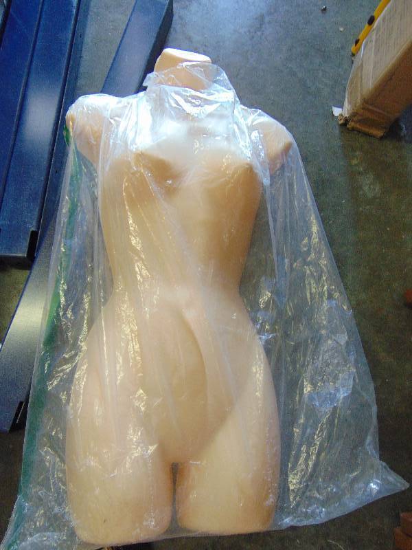 lot 7106 image: (1) Roxy Displays hanging mannequin bust