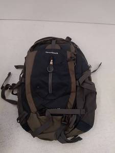 lot 56178 image: SpeedPark Backpack