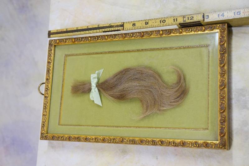 lot 81 image: Hair in shadow box, oddities.
