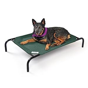 lot 3077 image: Coolaroo The Original Cooling Elevated Pet Bed, Medium, Brunswick Green