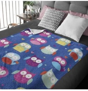 lot 3241 image: Dawhud Direct Cartoon Owl Fleece Blanket for Bed, 50 x 60 Owl Fleece Throw Blanket for Girls, Women, Men and Kids - Super Soft Plush Owl Blanket Throw