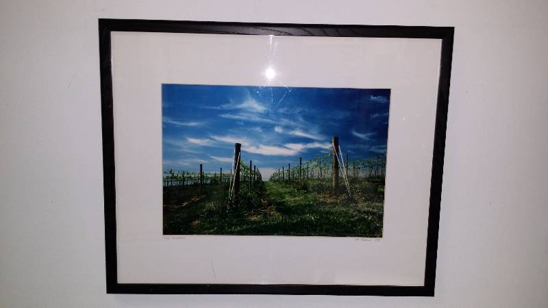 lot 1158 image: Bruce L Hogle Photograhy The Vineyard Fujichrome Color Reversal Print Hand-Signed