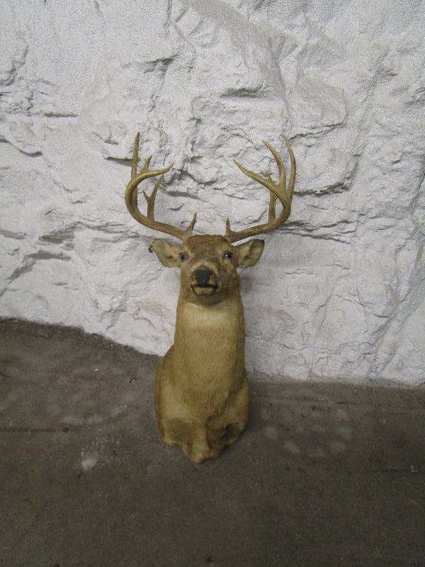 lot 692 image: Deer Head Taxidermy