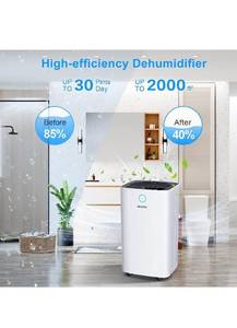 lot 15769 image: Seavon 30 Pint Dehumidifier for 2000 Sq. Ft Home Basements with Drain Hose