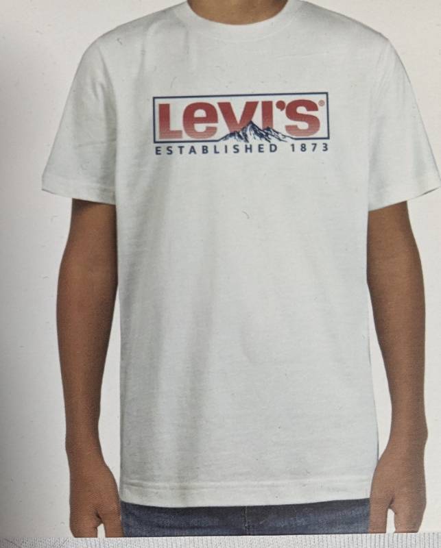 lot 31276 image: YOUTH- 78 T-Shirts. 2 pack Levis. Blue HeatherWhiteRed