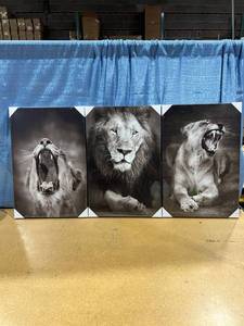 lot 2313 image: 3 Piece Canvas Lion Wall Art