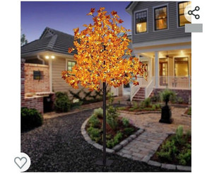 lot 52061 image: Lightshare Maple Tree, 8 ft