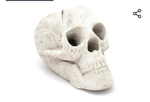 lot 52120 image: OSKER Ceramic Fireproof Fire Pit Skull Log for Bonfire, Campfire, Fireplace, Firepit  Halloween Decor  for Gas, Propane, or Wood Fires  9 Inch - Light Beige