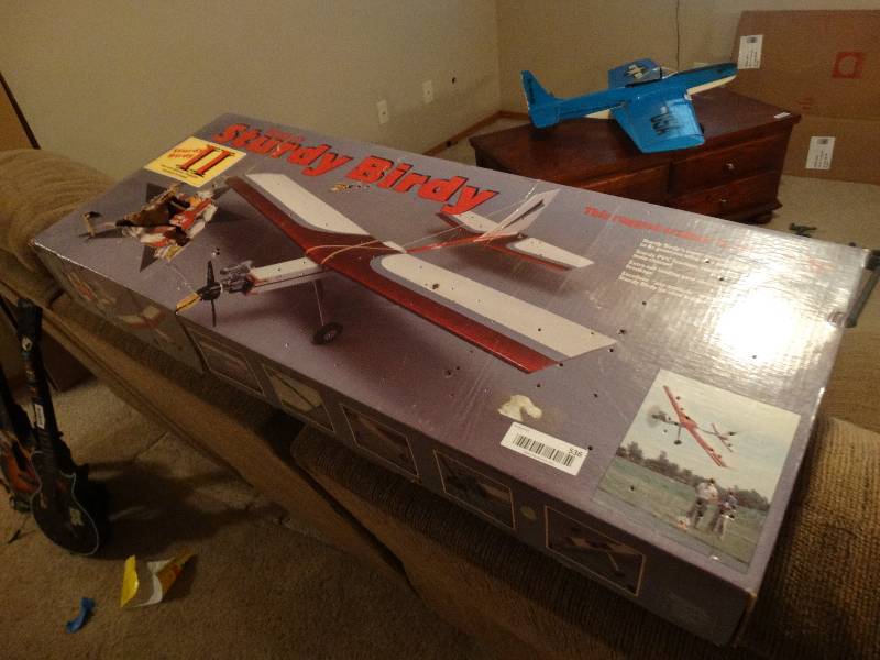 Sturdy birdy cheap rc plane