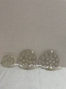 lot 39465 image: Clear Glass Flower Frog Floral Stem Holder Vase Vintage Two 16 Hole Domed Nice and one 11 Hole Domed