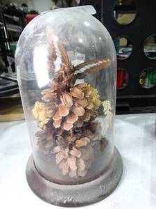 lot 30570 image: Domed Butterfly Decor