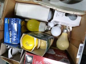 lot 30627 image: Box of Unused Light Bulbs