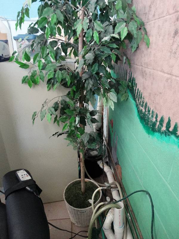 lot 611 image: Fake tree.