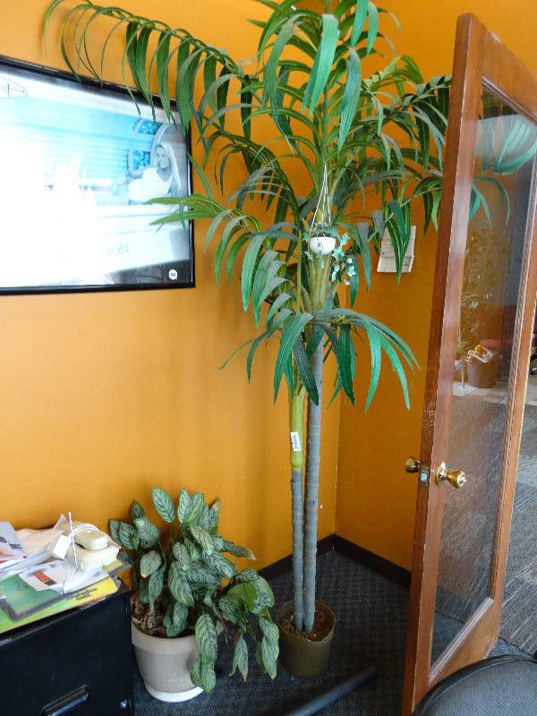 lot 615 image: 2 Fake plants.