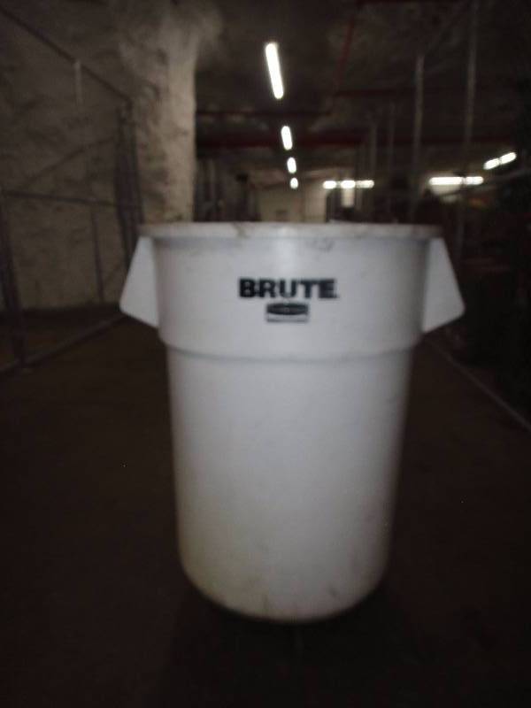 lot 210 image: Brute Trashcan