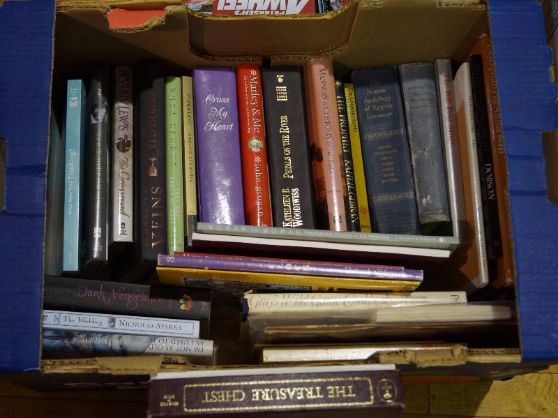 lot 2066 image: Box and Tub of Books - Some Romance Danielle Steele and more - See photos for titles
