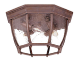 Acclaim 5603BW/SD Flush Mount Collection 4-Light Ceiling Mount Outdoor Light Fixture, Burled Walnut