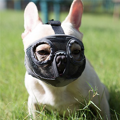lot 4151 image: JYHY Short Snout Dog Muzzles- Adjustable Breathable Mesh Bulldog Muzzle for Biting Chewing Barking Training Grooming Dog Mask,Grey(Eyehole) S
