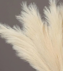 lot 35532 image: PERFIQUE Faux Pampas Grass, 43 Artificial Flowers, Set of 3 Stems Pampas Grass Decor Tall, Pompas, Vase Fillers for Floor Vase, Rustic Minimalist Farmhouse Room Decor, Boho Wedding Decor (Beige)