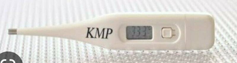 lot 500410 image: KMP DIGITAL STICK THERMOMETER