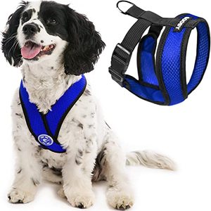 lot 81340 image: Gooby Comfort X Head In Harness - Blue, Small - No Pull Small Dog Harness, Patented Choke-Free X Frame - Perfect On The Go Dog Harness For Medium Dogs No Pull Or Small Dogs For Indoor And Outdoor Use