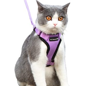 lot 81443 image: Mr. PeanutS Purrtrek Reflective Cat Harness With Matching Leash (Extra Small, Lilac)