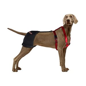lot 81724 image: Kerbiy Lispoo Dog Hip Brace Support For Hip Dysplasia,Luxating Patella,Arthritis,Dog Hip Dysplasia Brace Stabilises And Warms Joints,Relieves Joint Pain,Dog Brace(Xl)