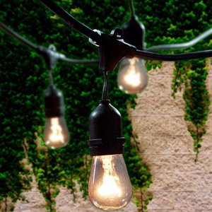 lot 82355 image: Lemontec Commercial Grade Outdoor String Lights With 15 Hanging Sockets - 48 Ft Black Weatherproof Cord Weatherproof Strand For Patio Garden Porch Backyard Party Deck Yard � S14 Black