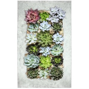 lot 3604 image: Modern Home Living Wall Galvanized SteelZinc Succulent Planter (Aged Zinc 18 Pocket)