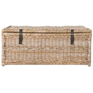 lot 5029 image: Happimess Caden Storage Trunk