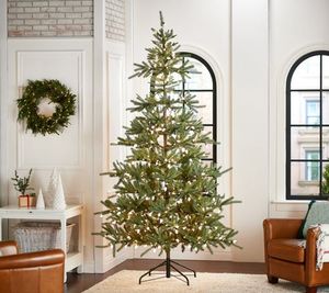 lot 1677 image: Ebenezer &amp Co. 10 Prelit Fraser Fir Christmas Tree-Retail - $888.30&nbsp