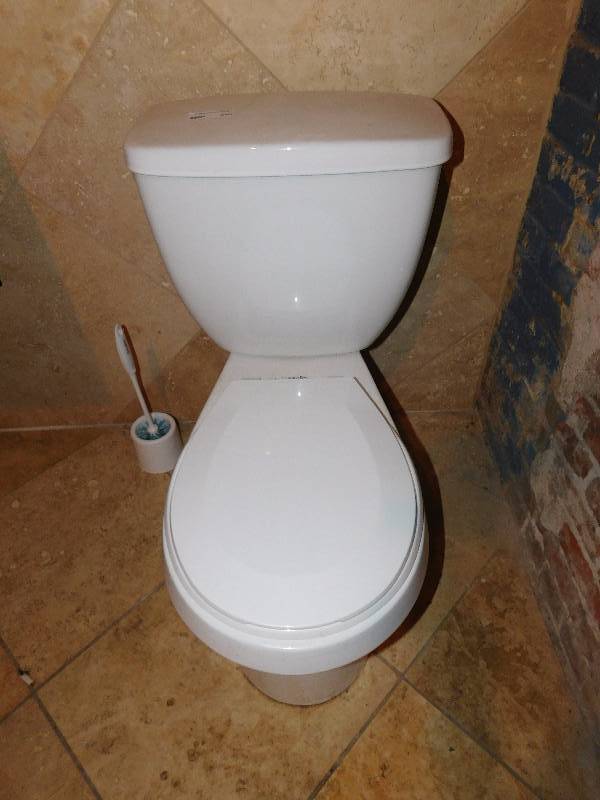 lot 250 image: Glacier Bay Toilet