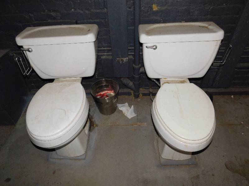 lot 309 image: Lot of 2 Toilets