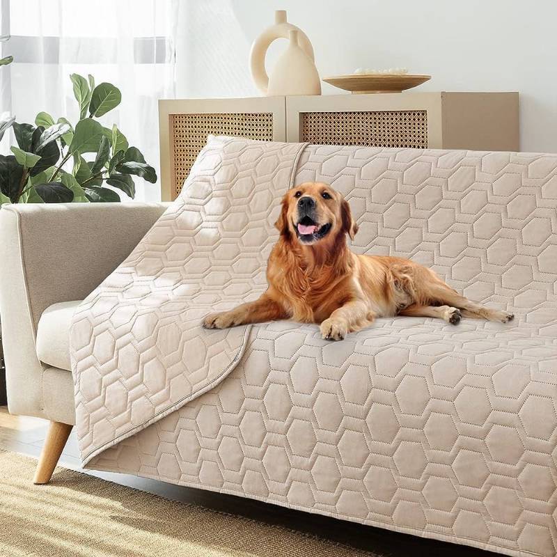 lot 5435 image: fuguitex Waterproof Reversible Dog
