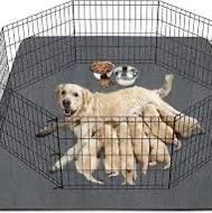 lot 1003 image: SHU UFANRO Washable Pee Pads for Dogs 65x48