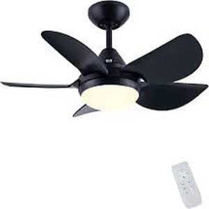lot 1061 image: CJOY Ceiling Fan with Lights for Living Room, 30 Small Modern Ceiling Fan with 5 Reversible Blades, Remote Controls, Adjustable Color Temperature, for Indoor, Black